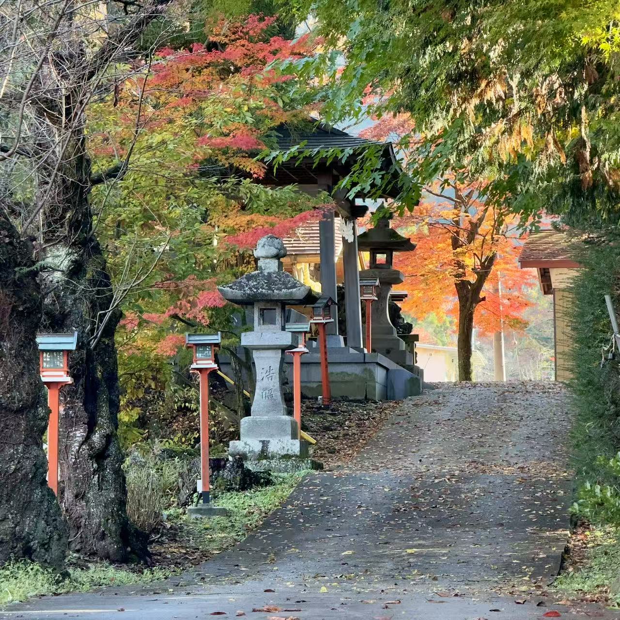 A Secret Pathway